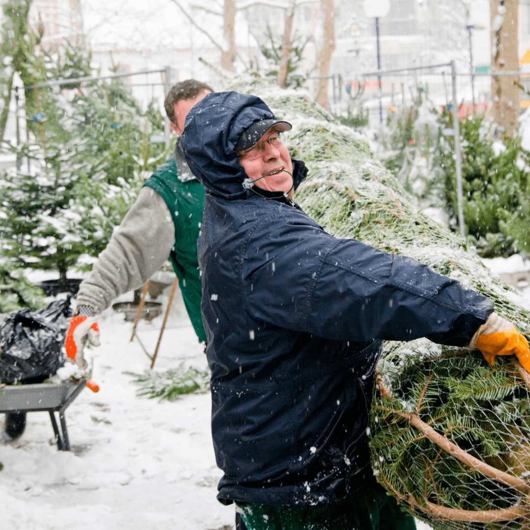 man gets help picking up christmas tree to avoid holiday accident